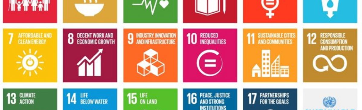 Our input for the Sustainable development.